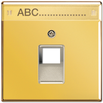 Крышка для ординарной телефонной и компютерной розетки UAE с полем для надписи; металл цвета золота