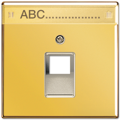 Крышка для ординарной телефонной и компютерной розетки UAE с полем для надписи; металл цвета золота GO2969-1NAUA