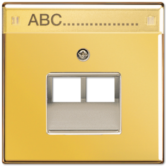 Крышка для сдвоенной телефонной и компютерной розетки  UAE с полем для надписи; металл цвета золота