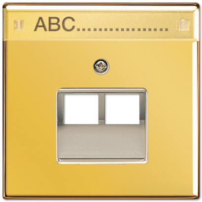 Крышка для сдвоенной телефонной и компютерной розетки  UAE с полем для надписи; металл цвета золота GO2969-2NAUA