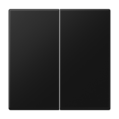 LS990 Клавиша 2-ная, цвет матовый черный LS995SWM