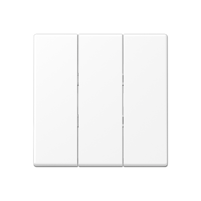 A593BFWWM - Jung A500 Клавиша 3-ая, цвет Матовый белый A593BFWWM