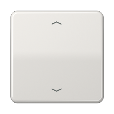 Клавиша для одинарной кнопки BCU; светло-серая CD590PLG