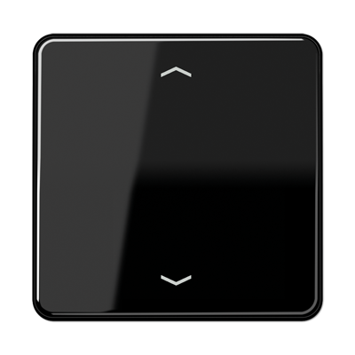 Клавиша для одинарной кнопки BCU; черная CD590PSW