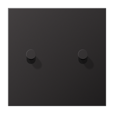 LS1912 - Кнопка 2-клавишная, Темный Алюминий - Конус 